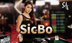 win666 bet premier cassino iOS
